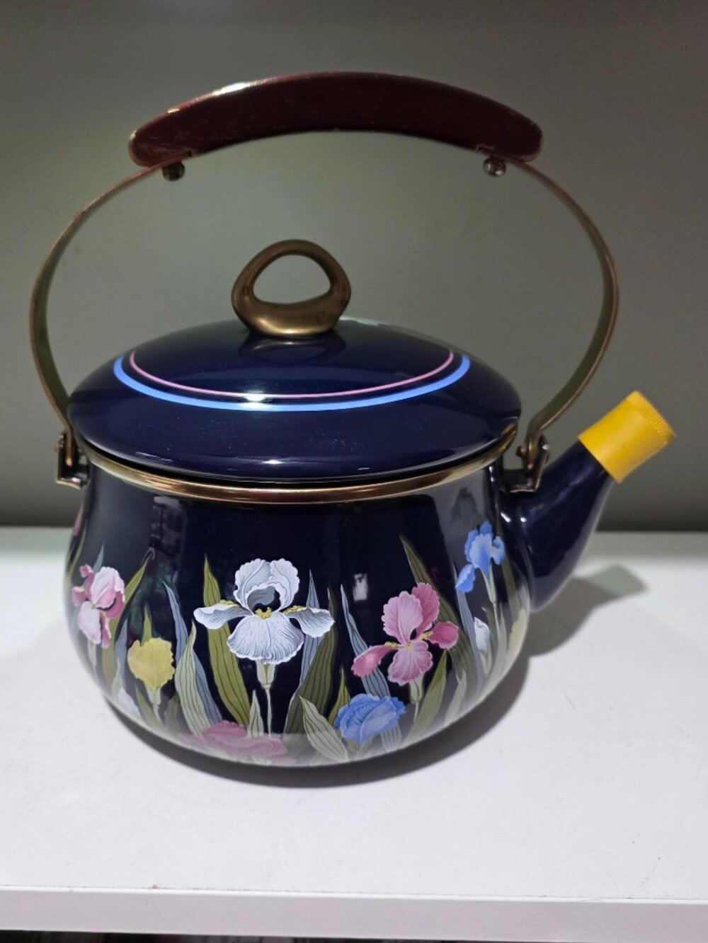 Vintage Blue Enamel Floral Teapot Kettle Iris Design
